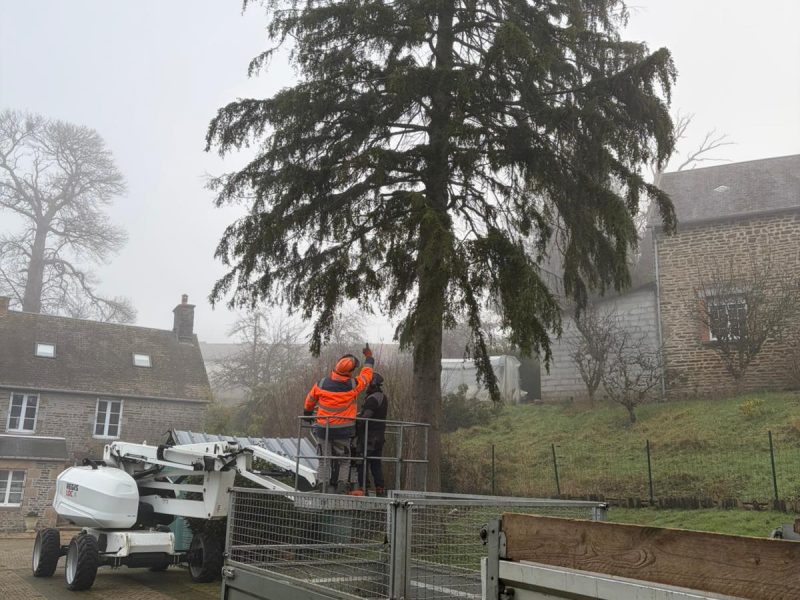 elagage près d'argentan